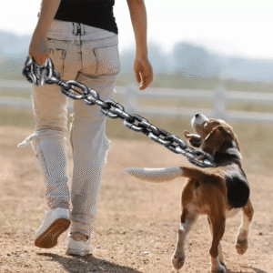 Funny Dog Leash – Realistic Iron Chain Design
